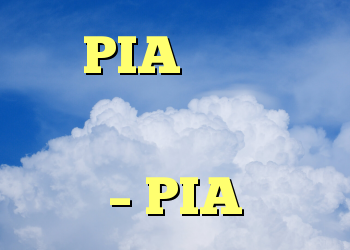 PIA را روی کامپیوتر از راه دور شروع کرده و متوقف کنید – PIA