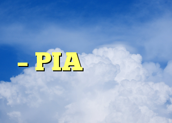 اتصال به اشتراک شبکه – PIA امکان پذیر نیست