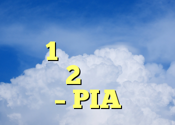 افزونه فایرفاکس بعد از نصب 1 اما بعد از راه اندازی 2 کار نمی کند – PIA