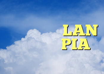 انتقال آهسته LAN بعد از نصب PIA