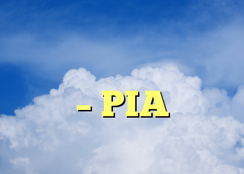 نسخه جدید متصل نیست – PIA