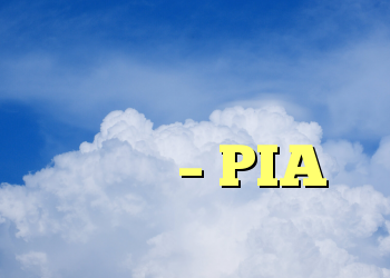 کدام سرورهای بدون انسداد – PIA