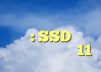 مایکروسافت اعتراف می کند: SSD های کندتر با ویندوز 11
